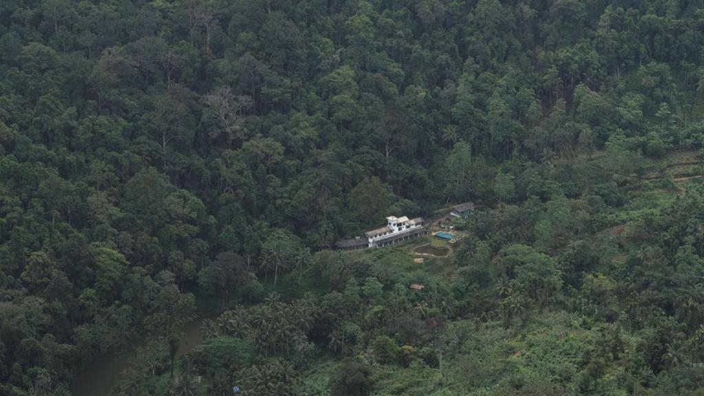 Explore Sinharaja Rain Forest Tour Camp Dombagoda Zewnętrze zdjęcie