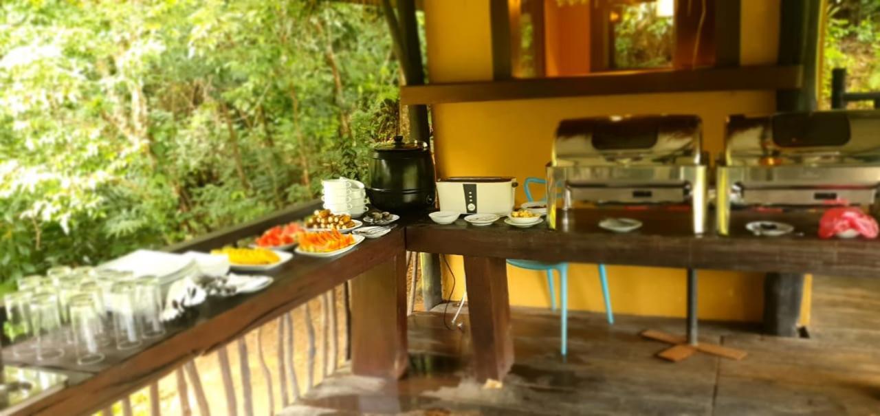 Explore Sinharaja Rain Forest Tour Camp Dombagoda Zewnętrze zdjęcie
