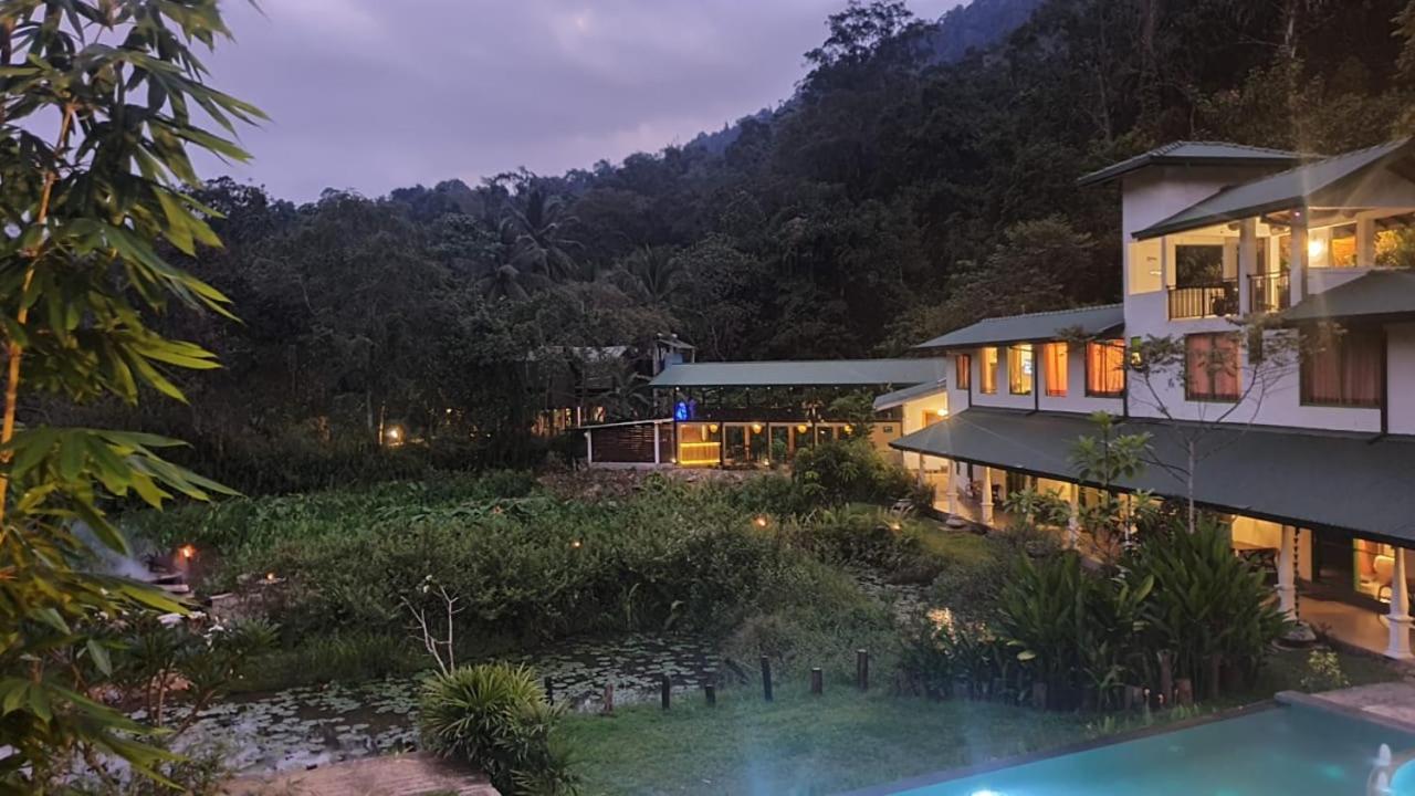 Explore Sinharaja Rain Forest Tour Camp Dombagoda Zewnętrze zdjęcie