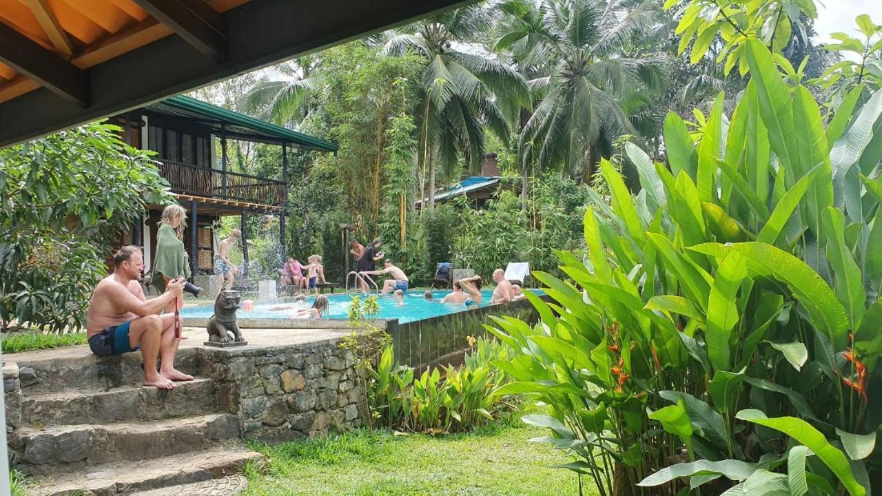 Explore Sinharaja Rain Forest Tour Camp Dombagoda Zewnętrze zdjęcie