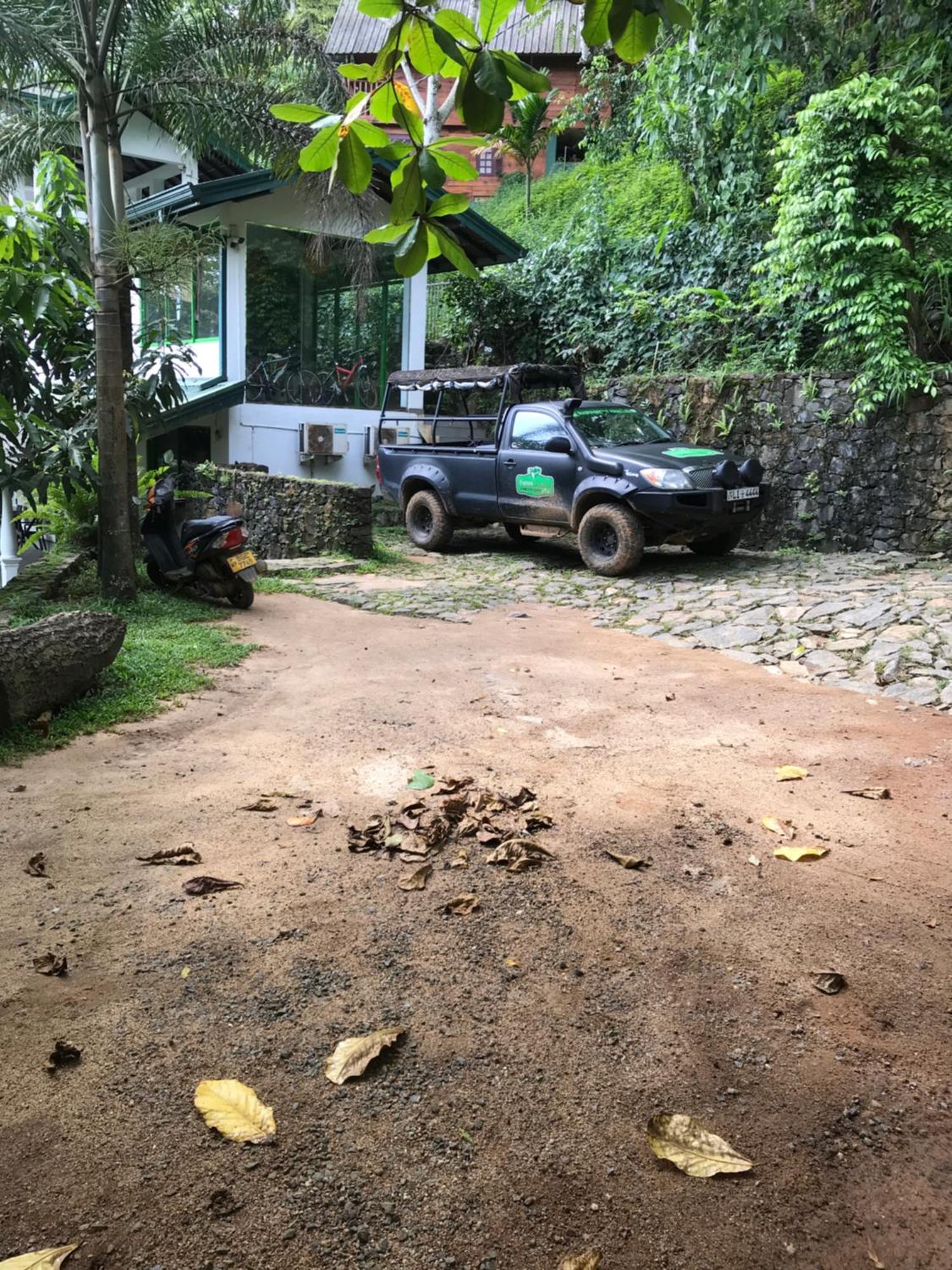 Explore Sinharaja Rain Forest Tour Camp Dombagoda Zewnętrze zdjęcie