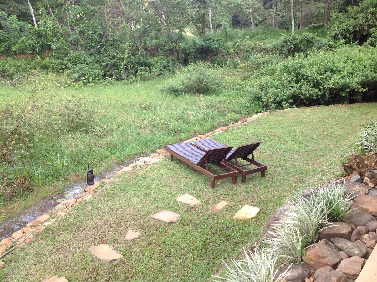 Explore Sinharaja Rain Forest Tour Camp Dombagoda Zewnętrze zdjęcie