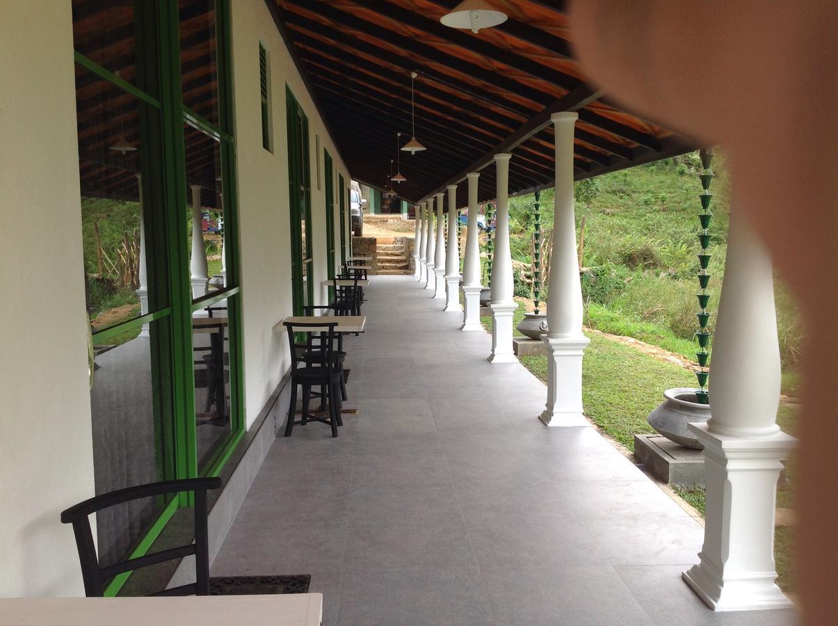 Explore Sinharaja Rain Forest Tour Camp Dombagoda Zewnętrze zdjęcie