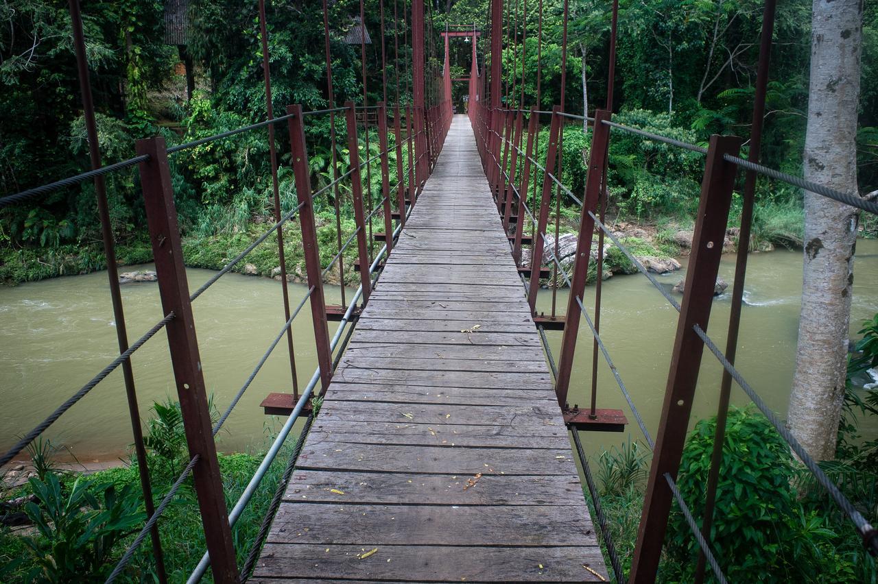 Explore Sinharaja Rain Forest Tour Camp Dombagoda Zewnętrze zdjęcie