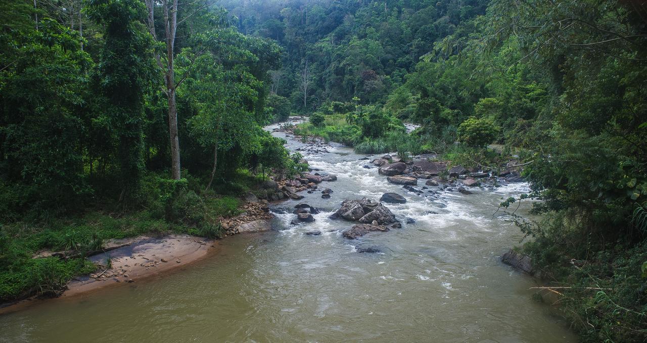 Explore Sinharaja Rain Forest Tour Camp Dombagoda Zewnętrze zdjęcie