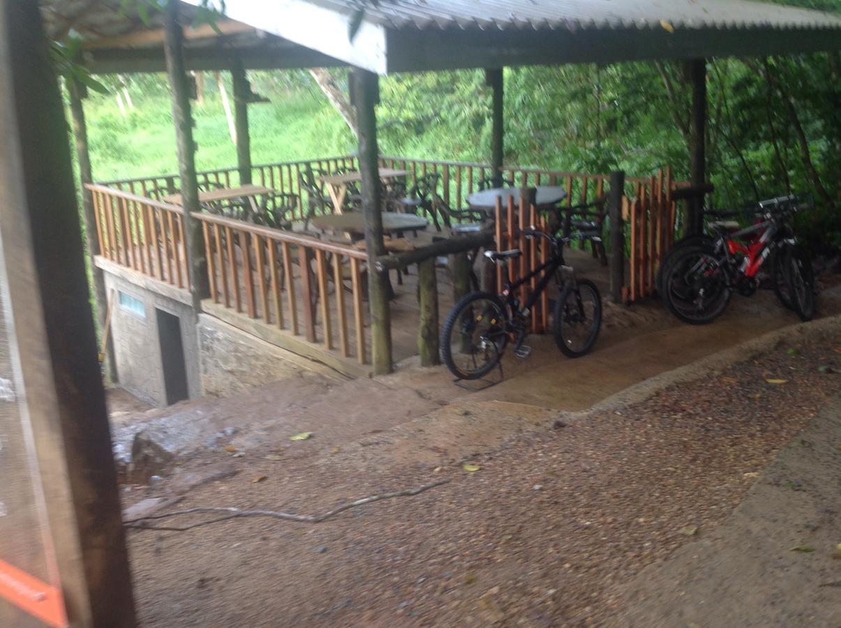 Explore Sinharaja Rain Forest Tour Camp Dombagoda Zewnętrze zdjęcie