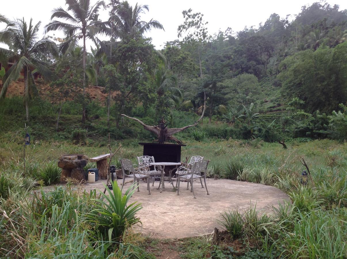Explore Sinharaja Rain Forest Tour Camp Dombagoda Zewnętrze zdjęcie