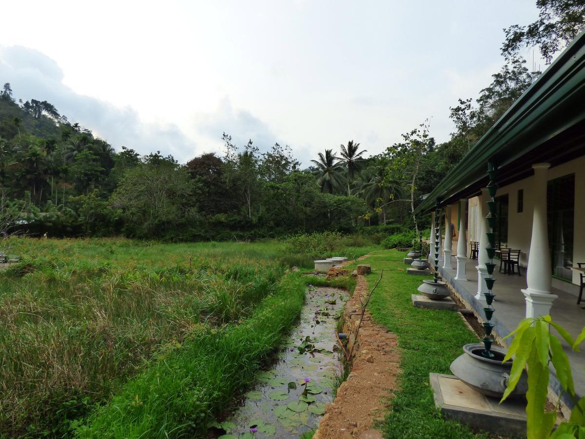 Explore Sinharaja Rain Forest Tour Camp Dombagoda Zewnętrze zdjęcie