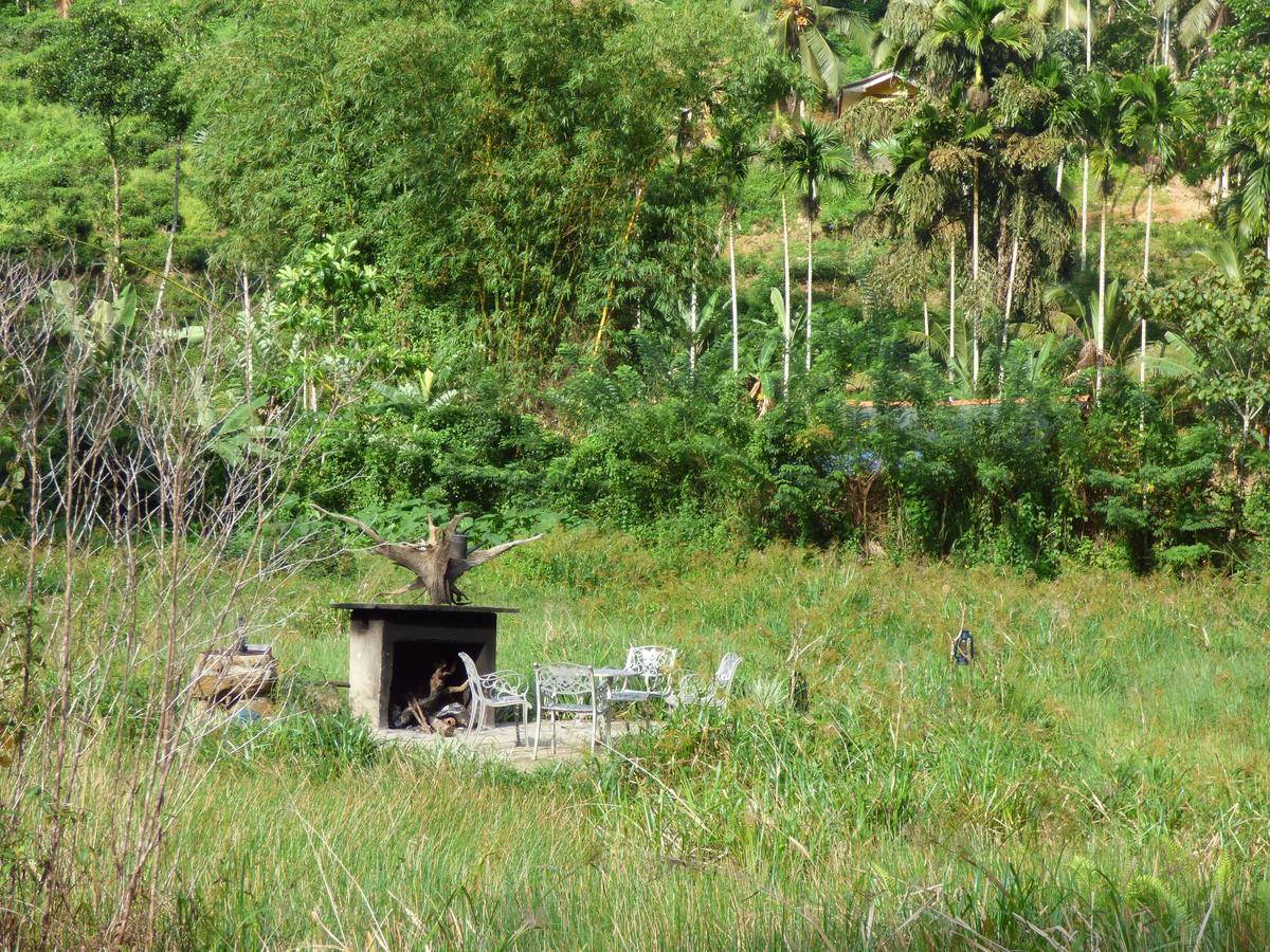 Explore Sinharaja Rain Forest Tour Camp Dombagoda Zewnętrze zdjęcie