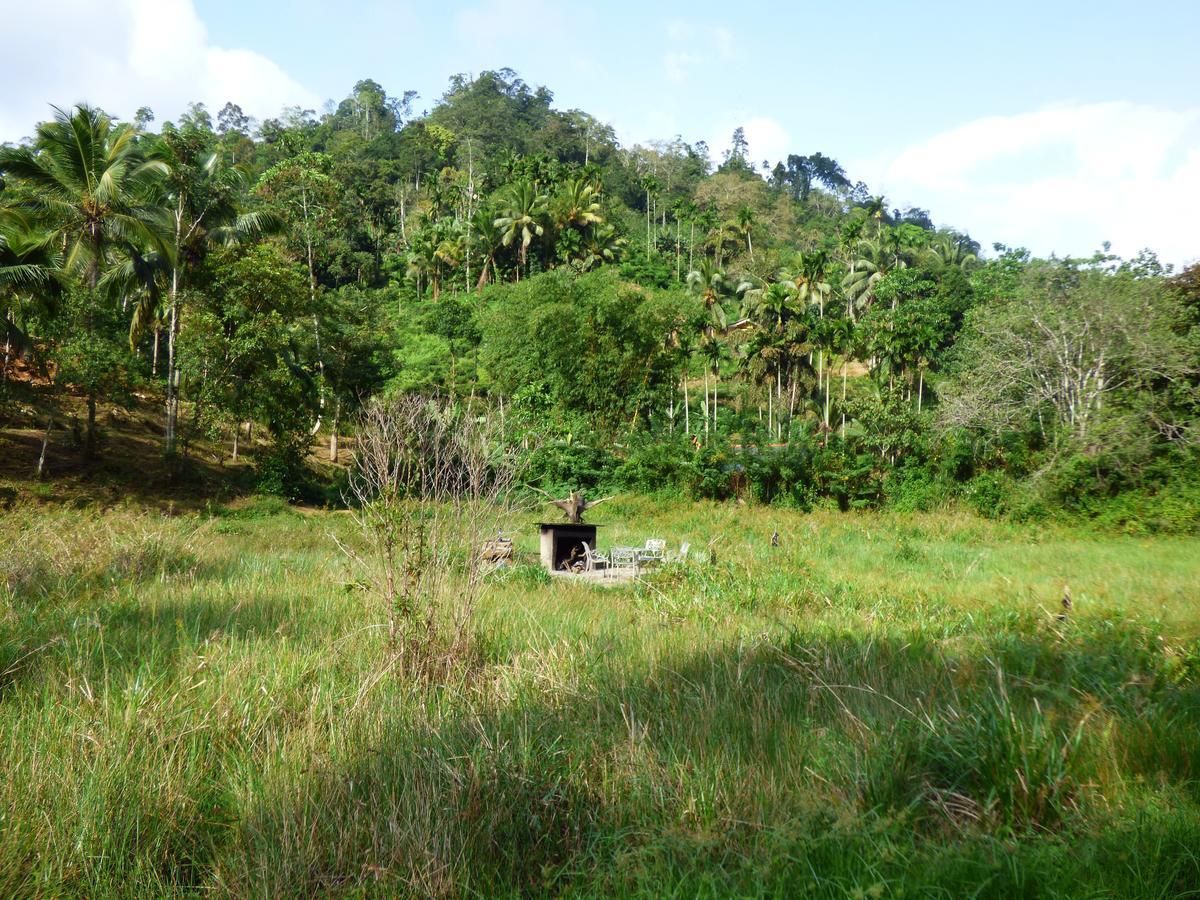 Explore Sinharaja Rain Forest Tour Camp Dombagoda Zewnętrze zdjęcie