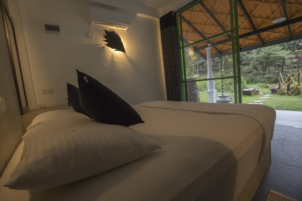 Explore Sinharaja Rain Forest Tour Camp Dombagoda Zewnętrze zdjęcie