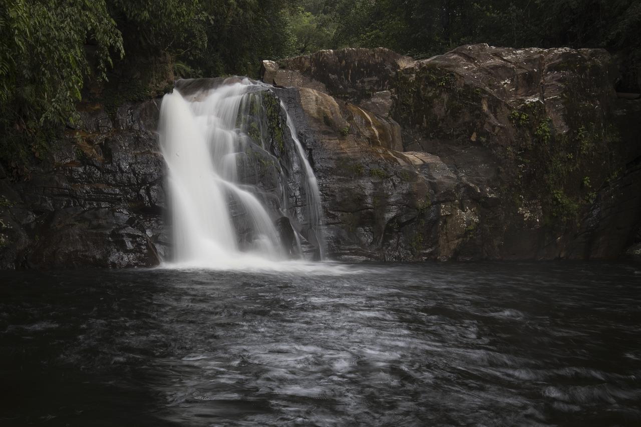 Explore Sinharaja Rain Forest Tour Camp Dombagoda Zewnętrze zdjęcie