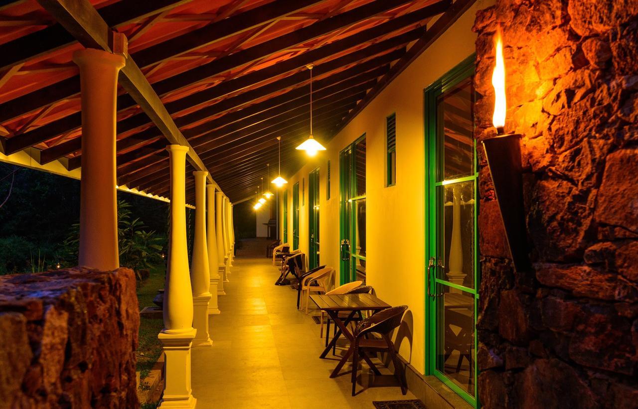 Explore Sinharaja Rain Forest Tour Camp Dombagoda Zewnętrze zdjęcie