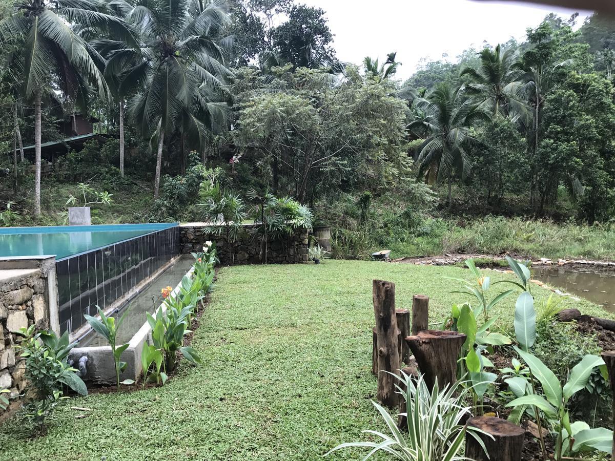 Explore Sinharaja Rain Forest Tour Camp Dombagoda Zewnętrze zdjęcie