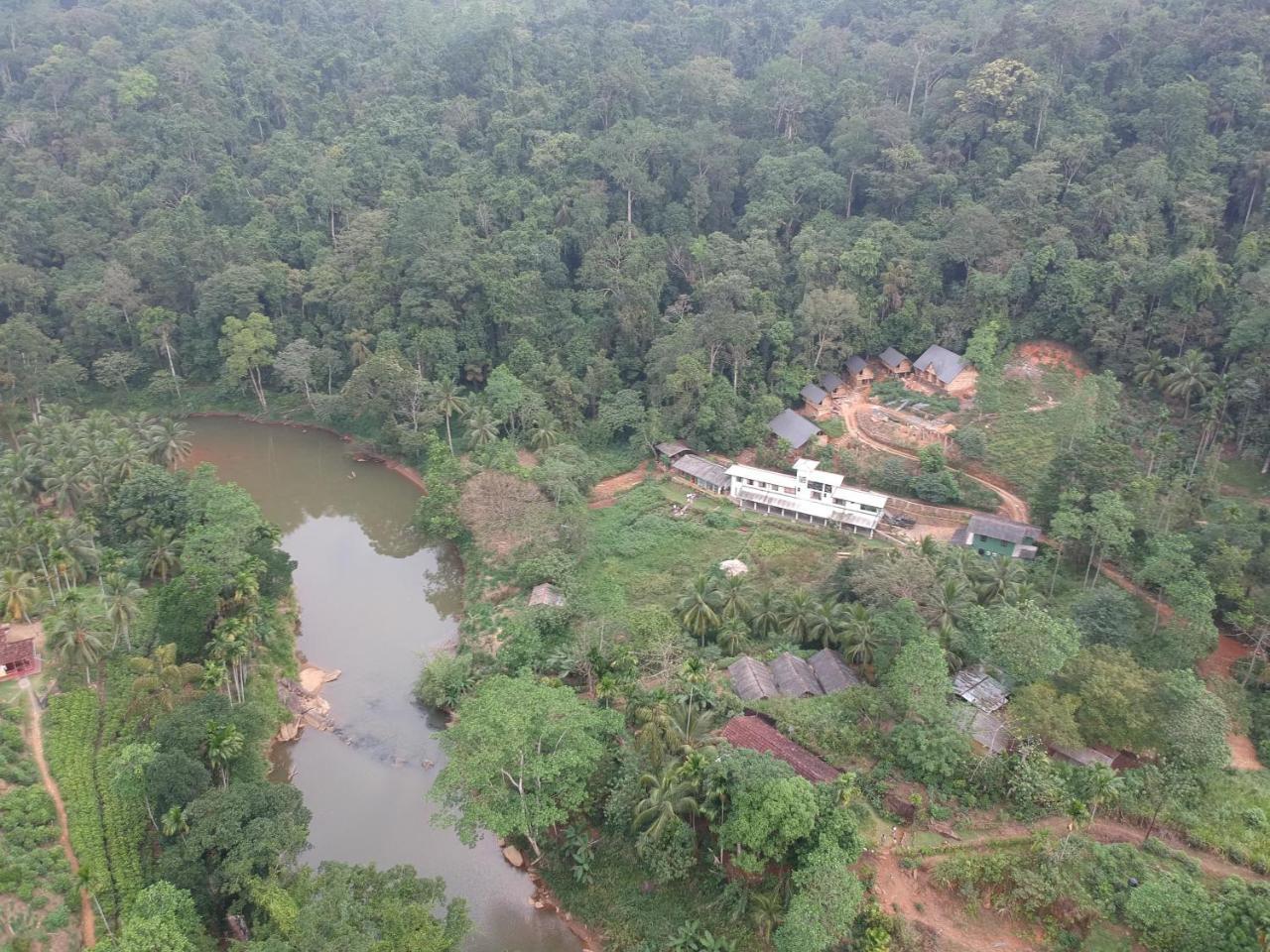 Explore Sinharaja Rain Forest Tour Camp Dombagoda Zewnętrze zdjęcie