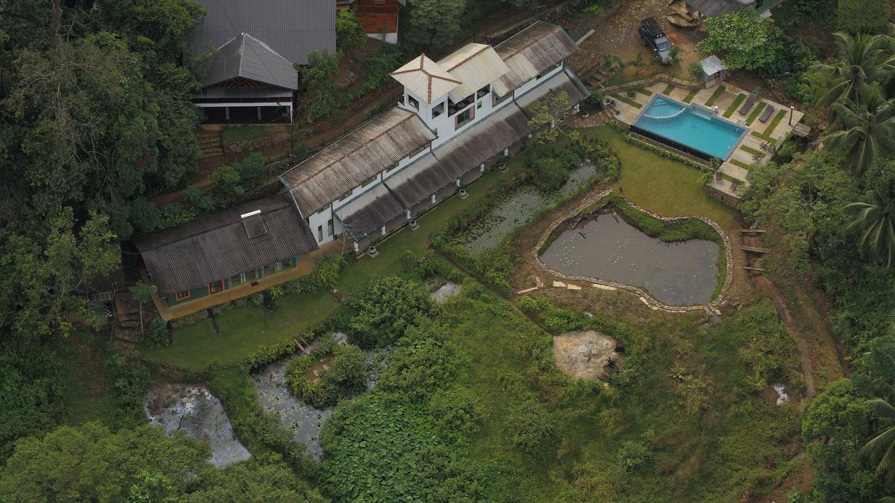 Explore Sinharaja Rain Forest Tour Camp Dombagoda Zewnętrze zdjęcie