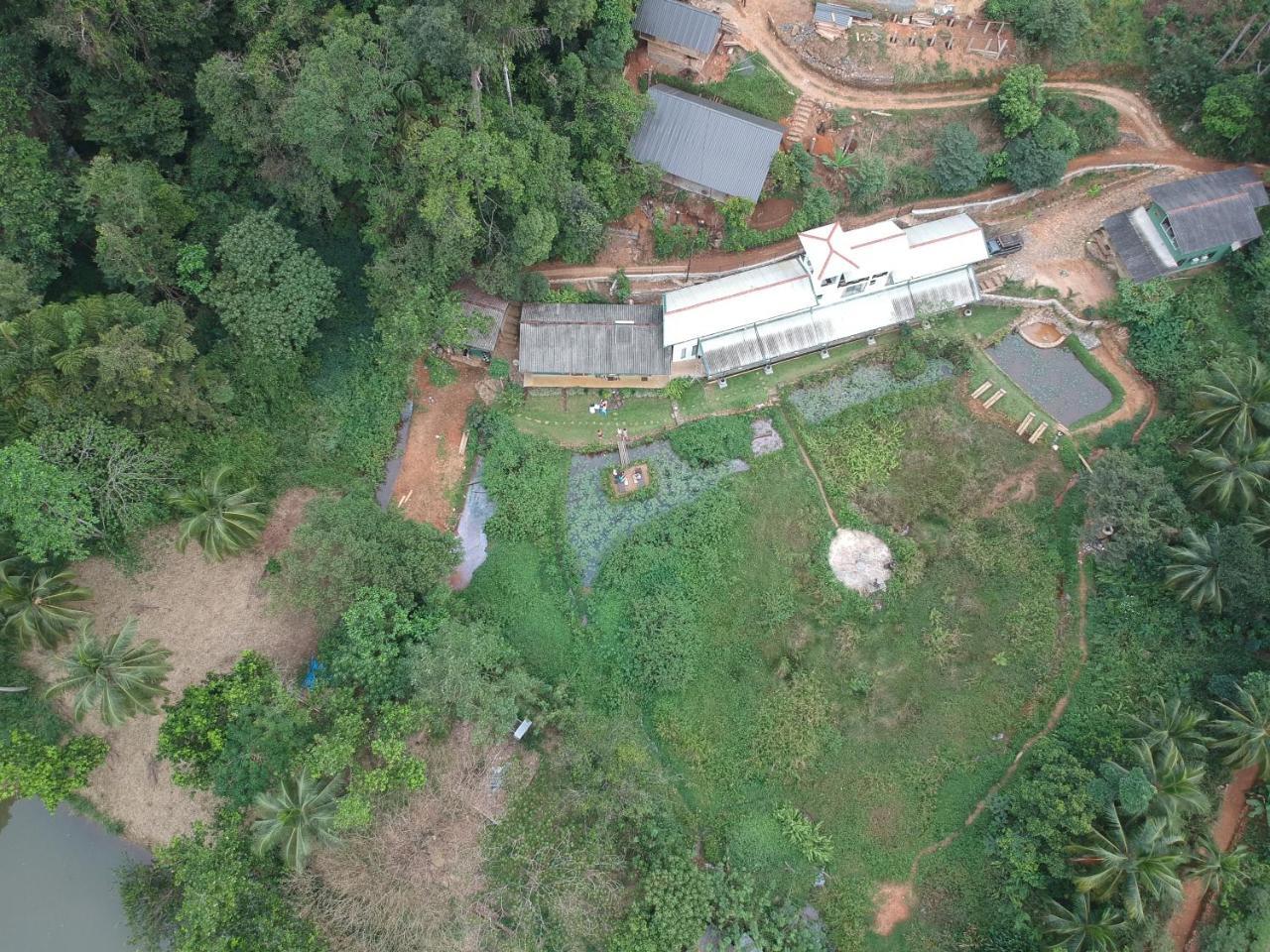 Explore Sinharaja Rain Forest Tour Camp Dombagoda Zewnętrze zdjęcie